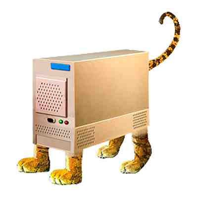 Tiger Cub graphic for DFI Computers